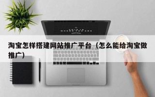 鄄城淘宝怎样搭建网站推广平台（怎么能给淘宝做推广）